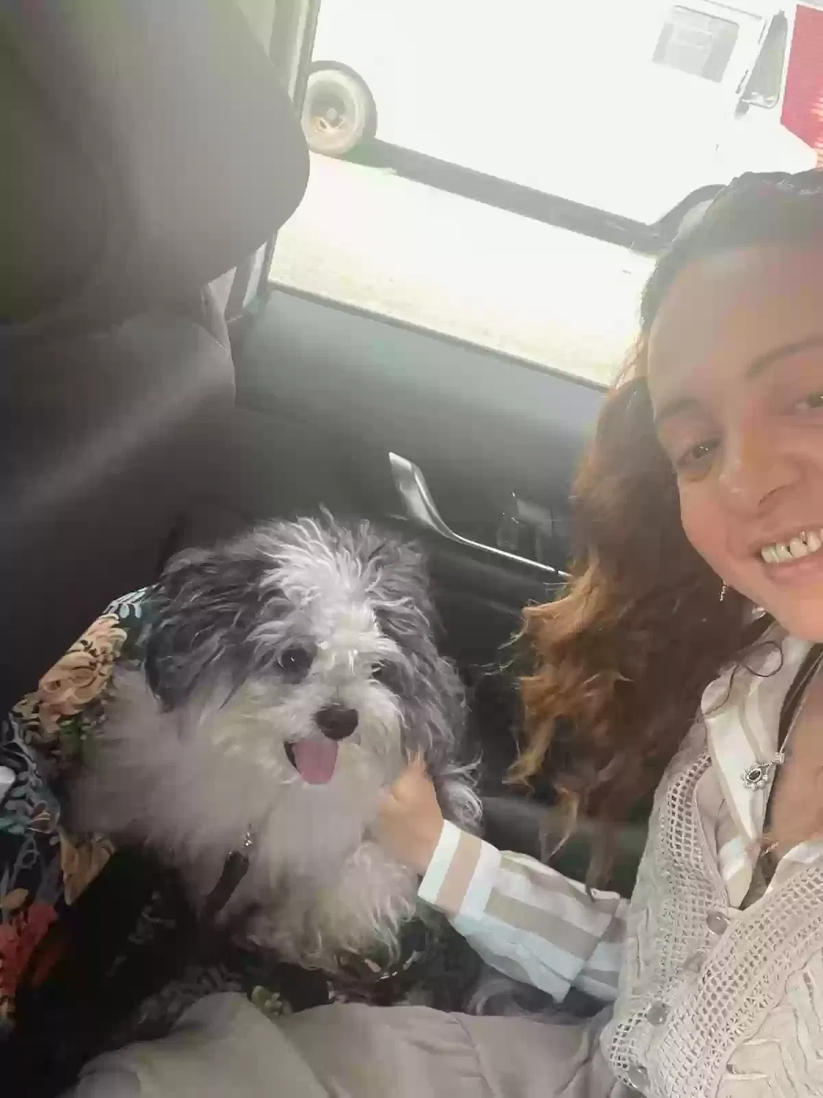 Lost dog in Bronx, NY, 10472