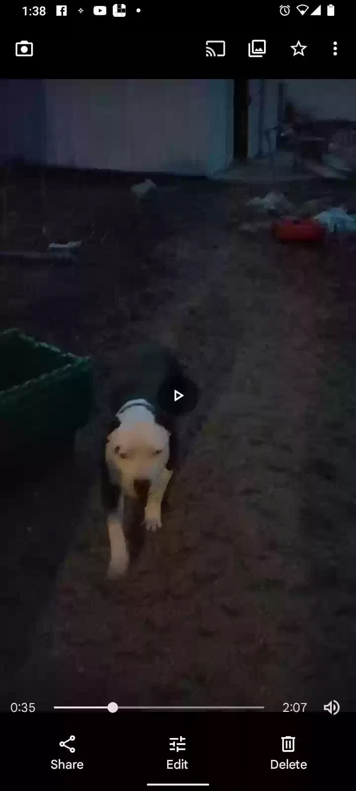 Lost dog in Albuquerque, NM, 87105