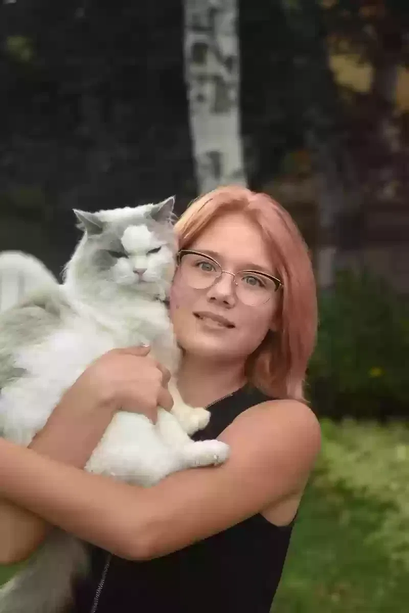 Lost cat in Salt Lake City, UT, 84109