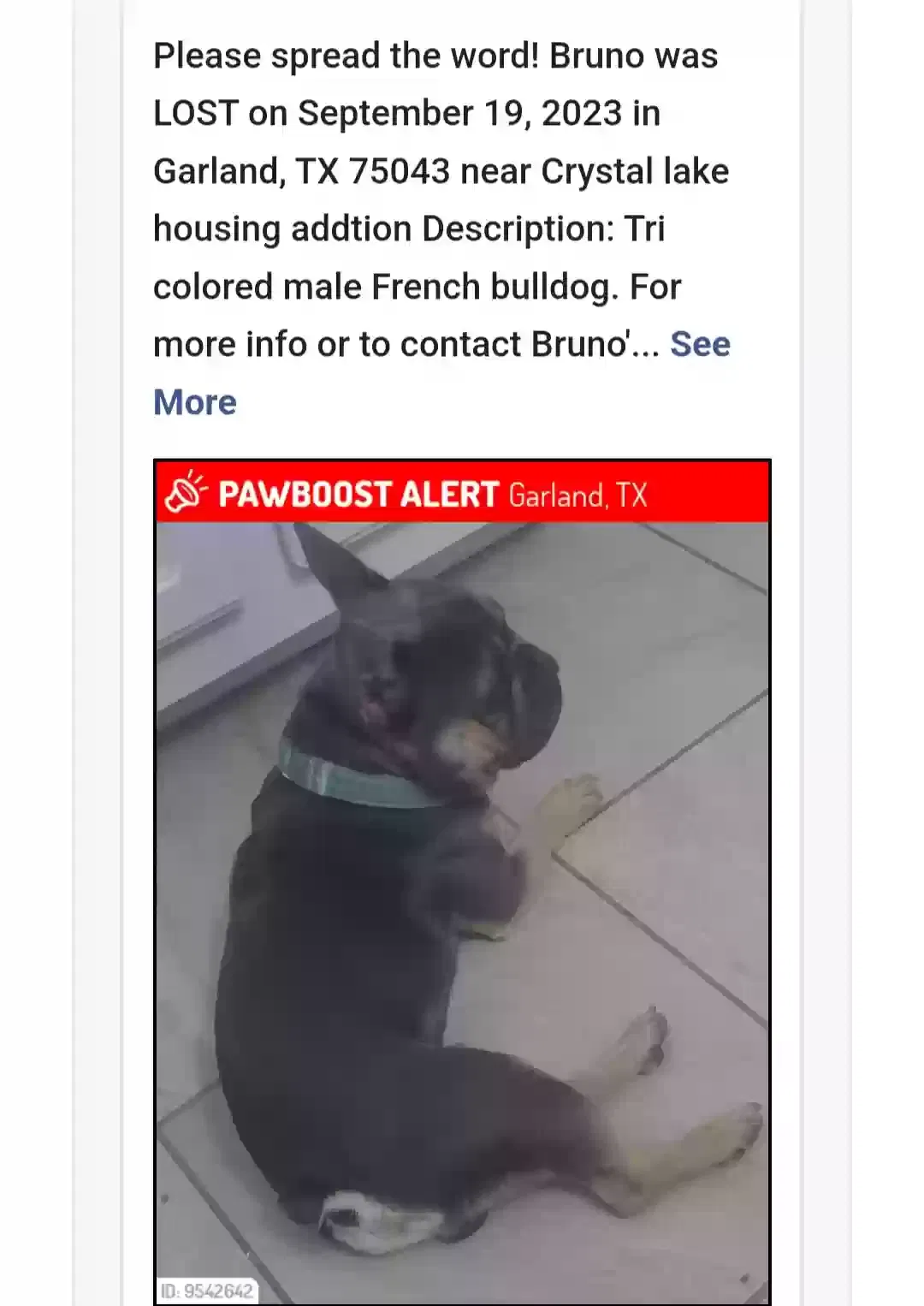 Lost dog in Garland, TX, 75043