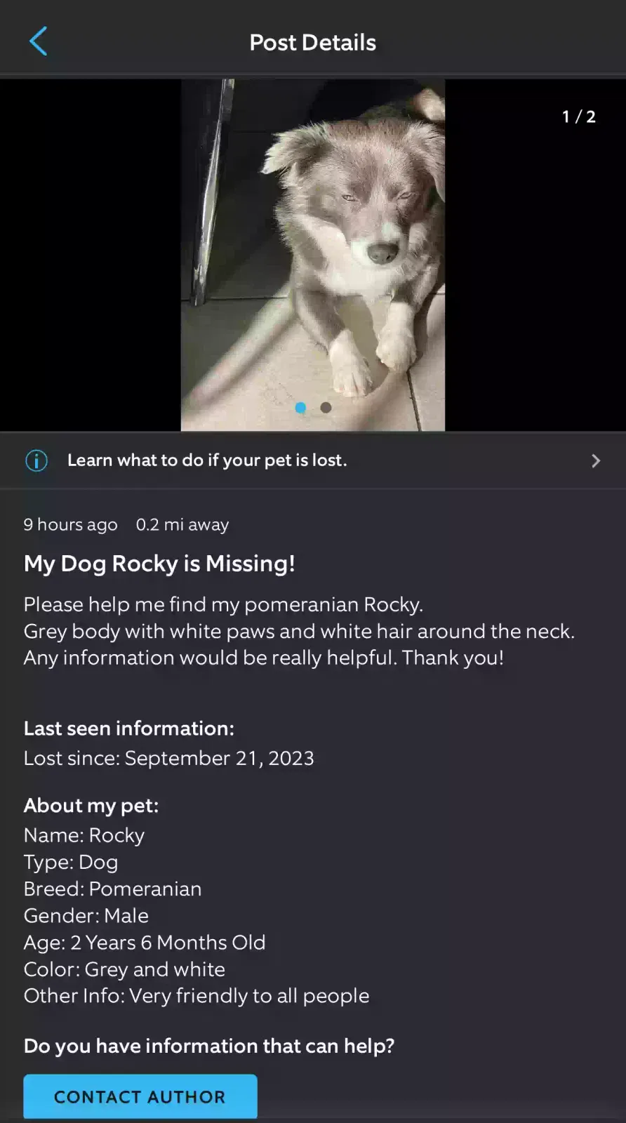 Lost dog in Moreno Valley, CA, 92553