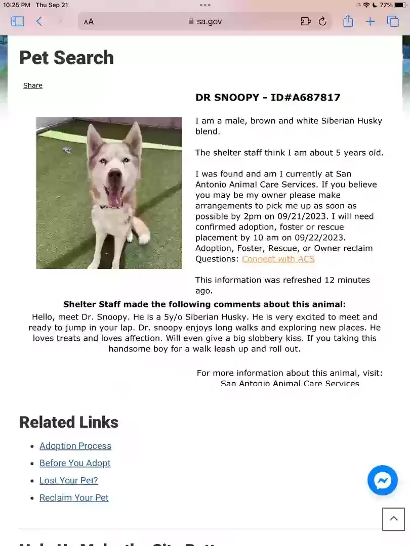 Found dog in San Antonio, TX, 78227