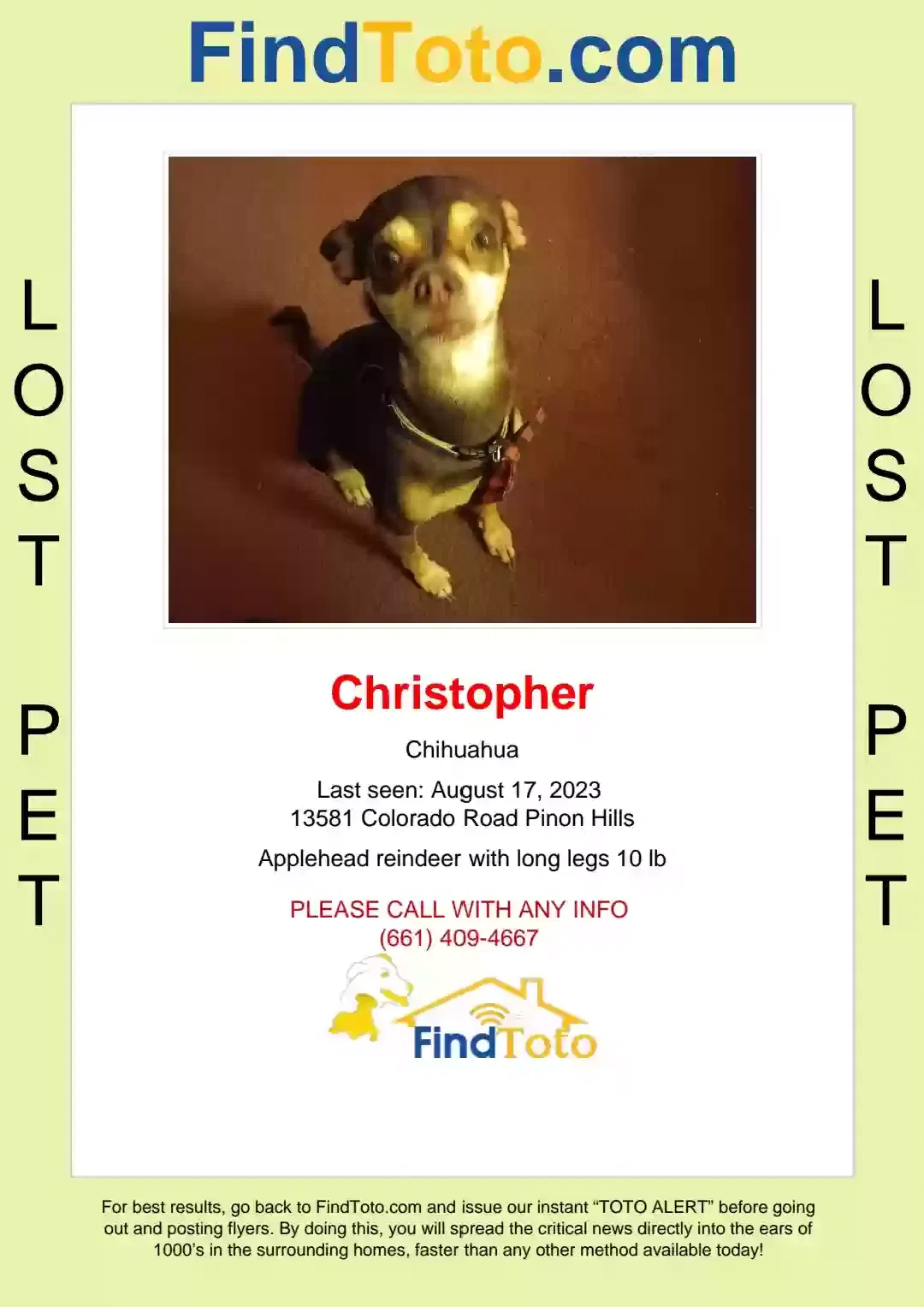 Lost dog in Pinon Hills, CA, 92372