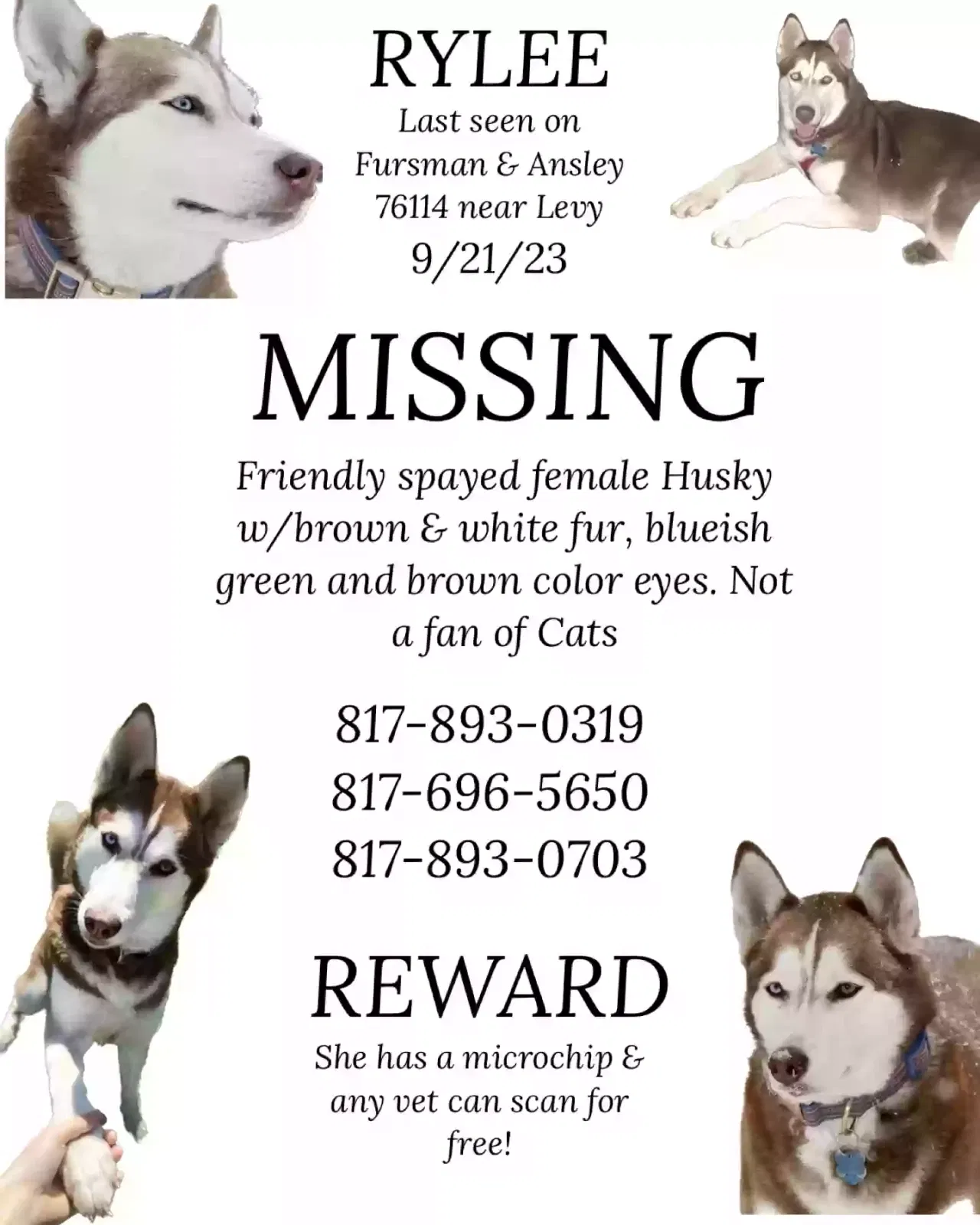Lost dog in Fort Worth, TX, 76114