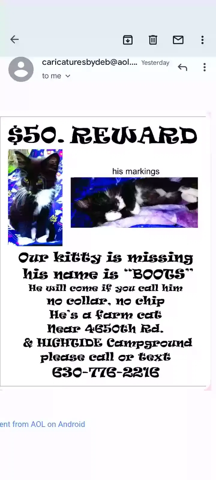 Lost cat in Leland, IL, 60531