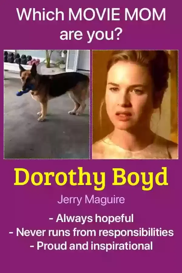 Lost dog in Baton Rouge, LA, 70817