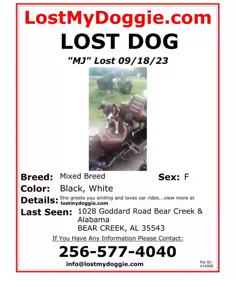 Lost dog in Bear Creek, AL, 35543