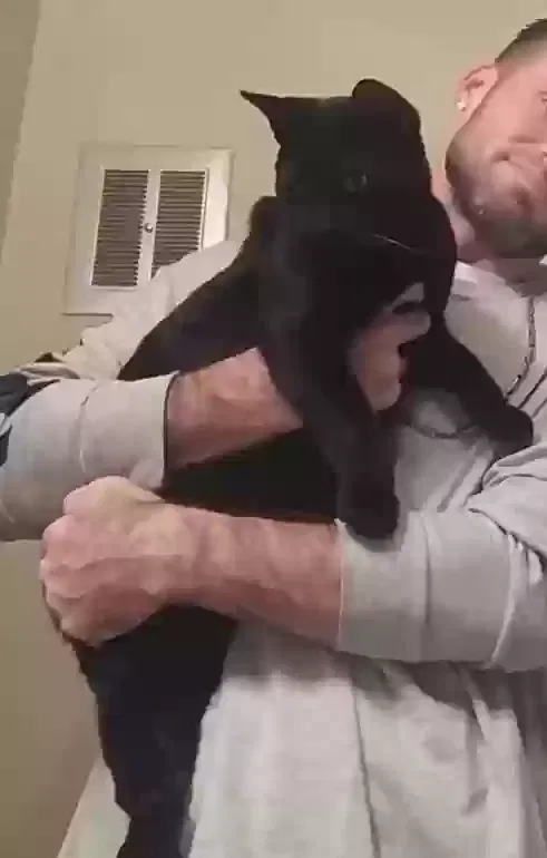 Lost cat in Ocean Springs, MS, 39564