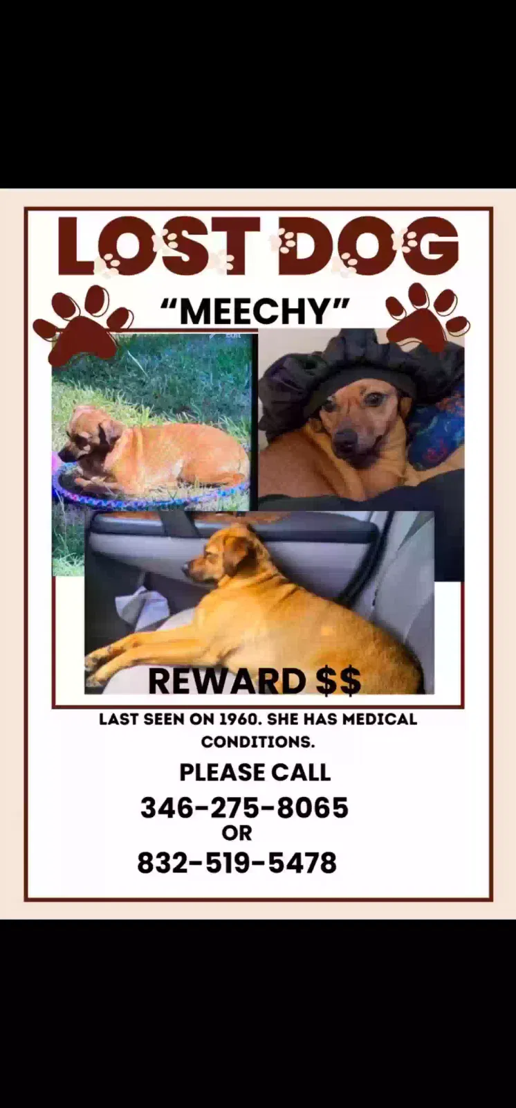 Lost dog in Humble, TX, 77346