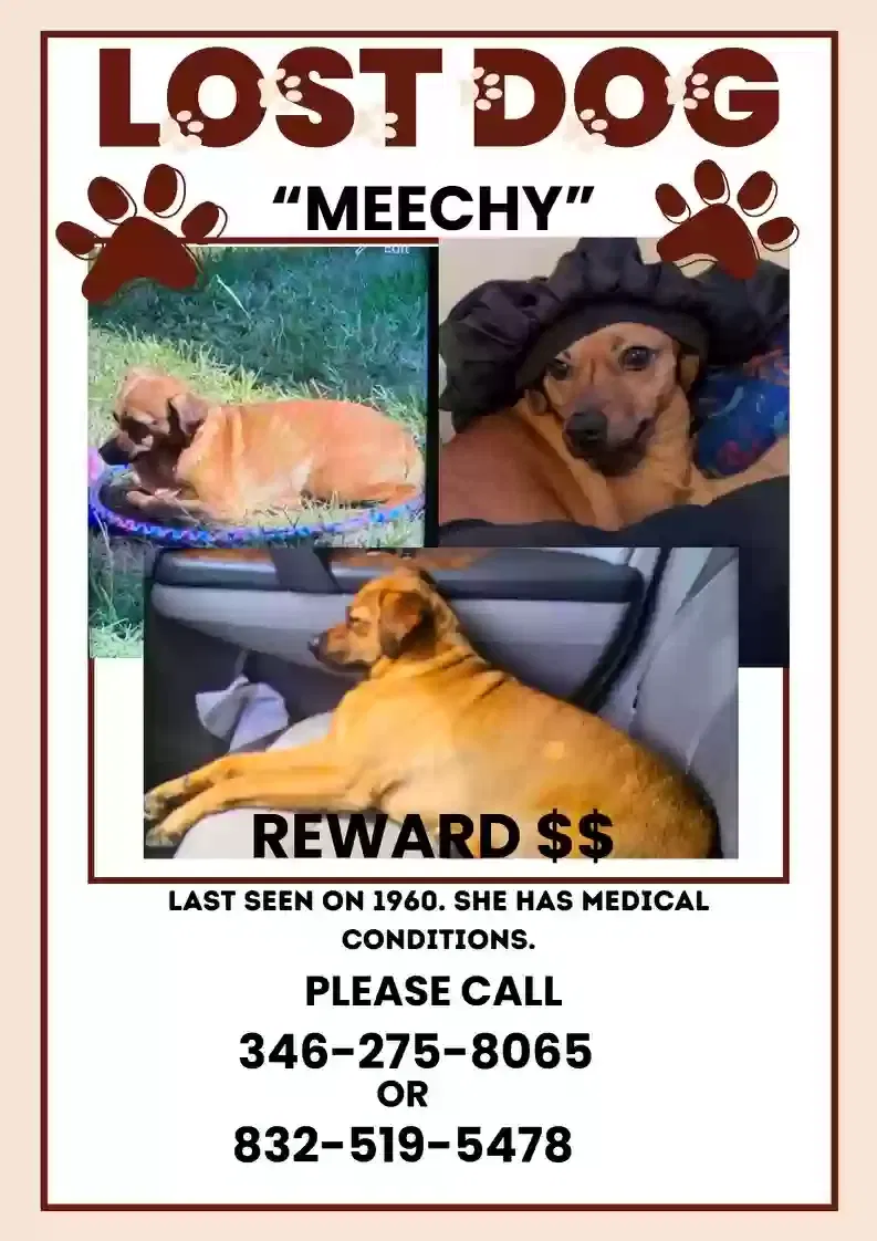 Lost dog in Humble, TX, 77346