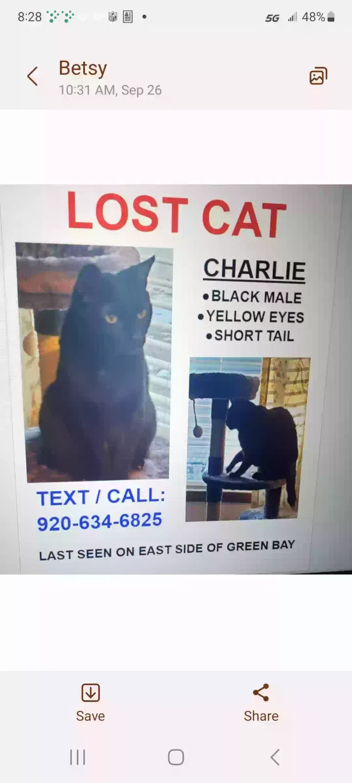 Lost cat in Green Bay, WI, 54302