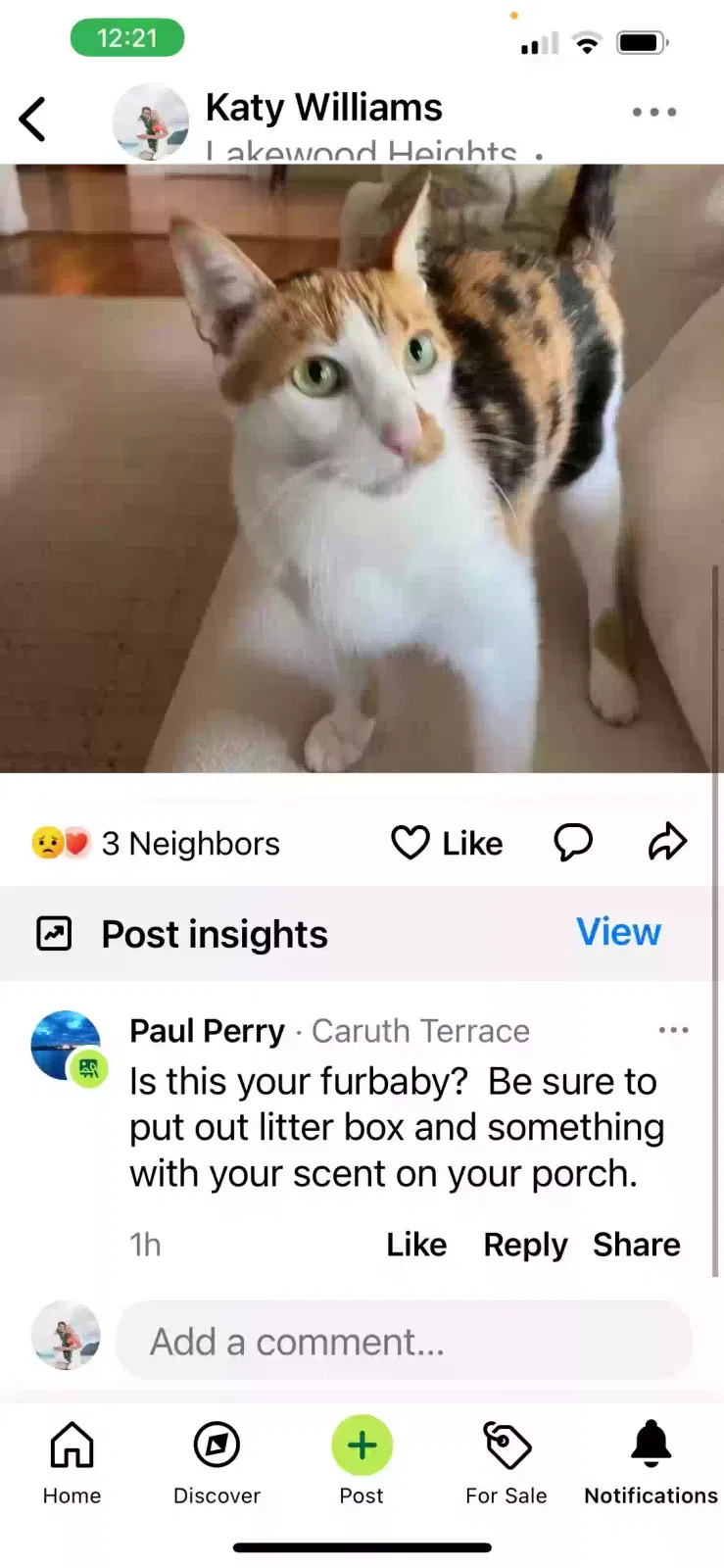 Lost cat in Dallas, TX, 75214