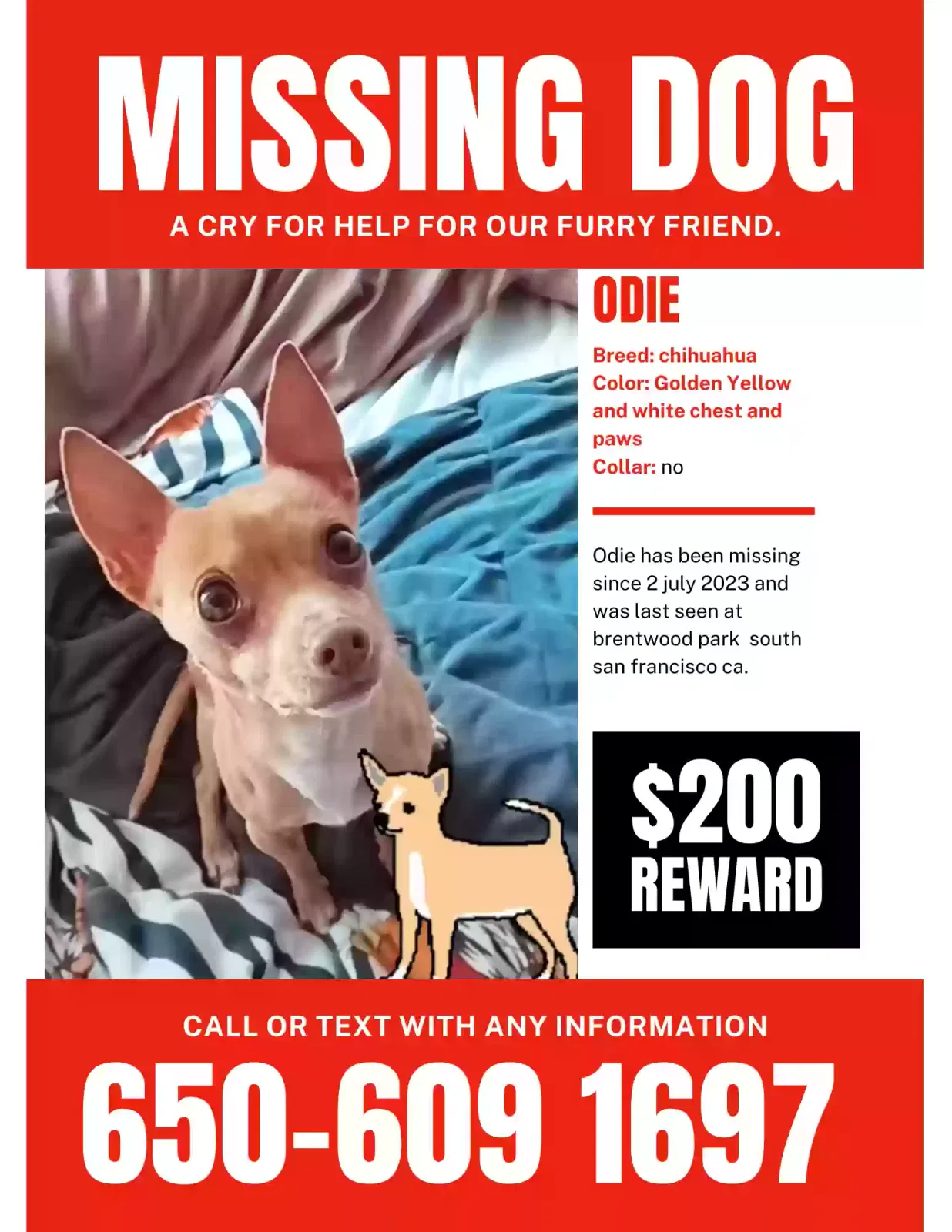 Lost dog in South San Francisco, CA, 94080