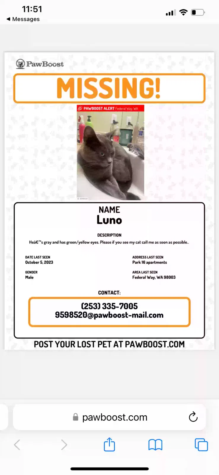 Lost cat in Federal Way, WA, 98003