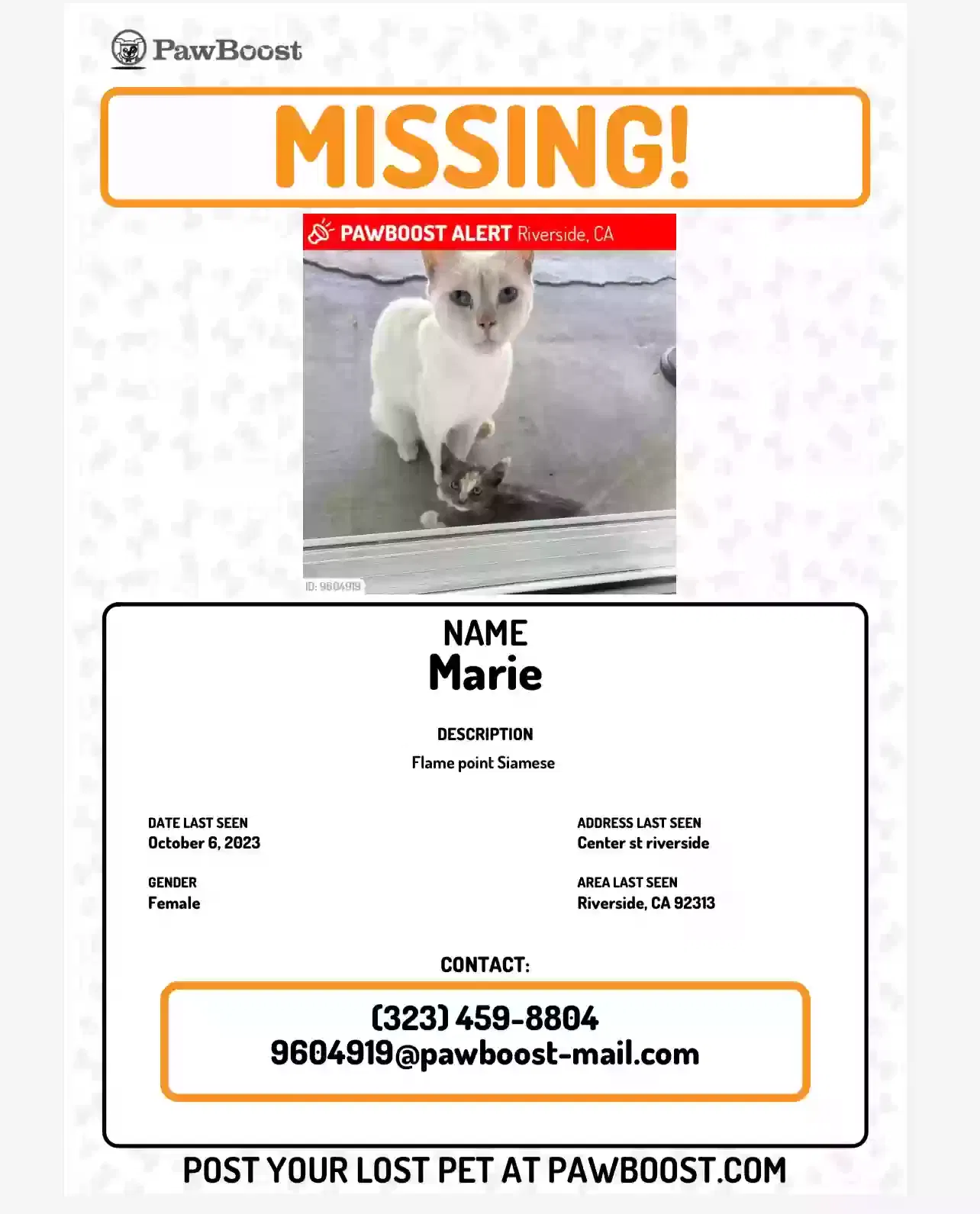 Lost cat in Riverside, CA, 92501