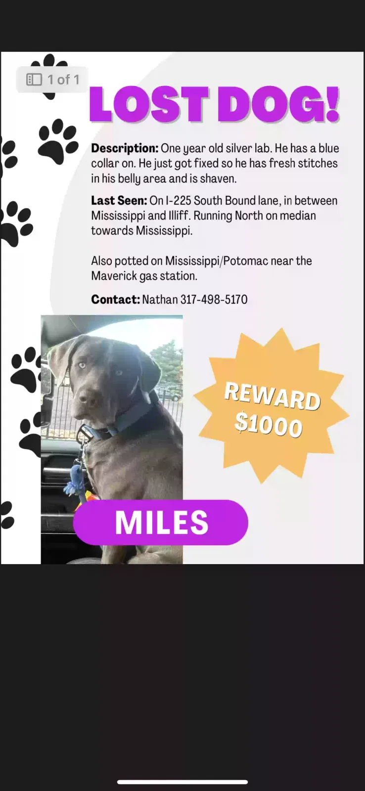 Lost dog in Aurora, CO, 80012