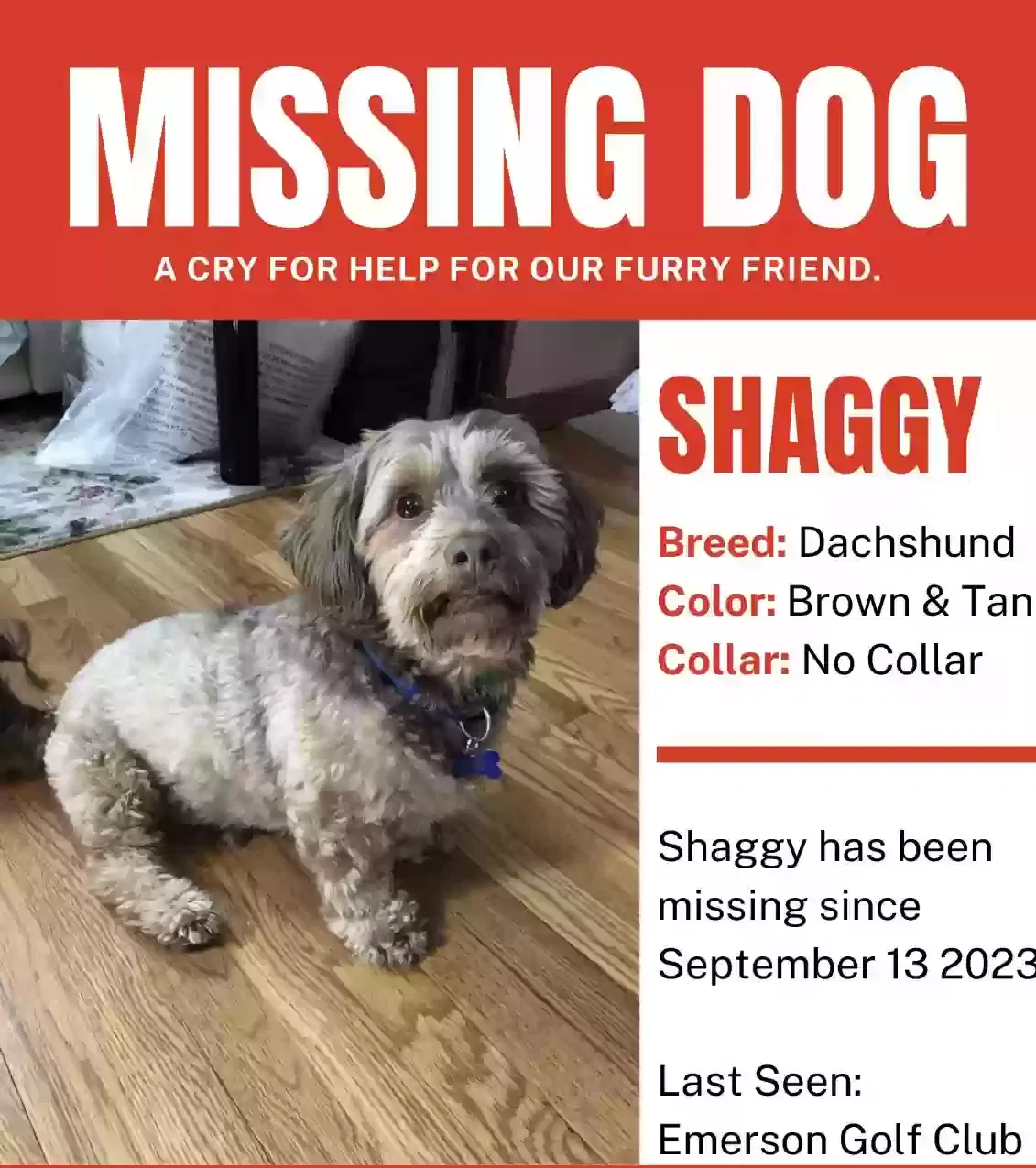 Lost dog in Emerson, NJ, 7630