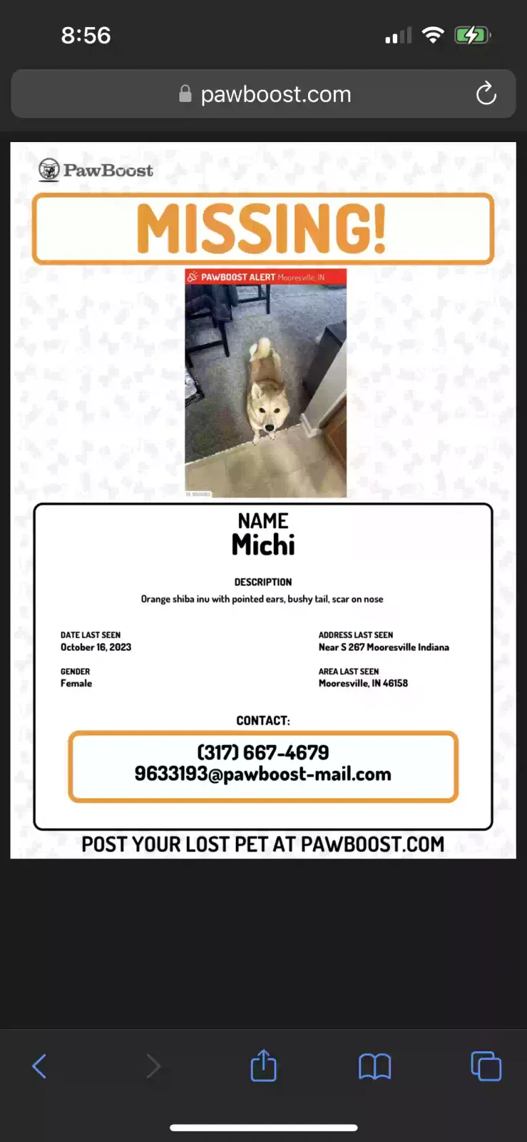 Lost dog in Mooresville, IN, 46158