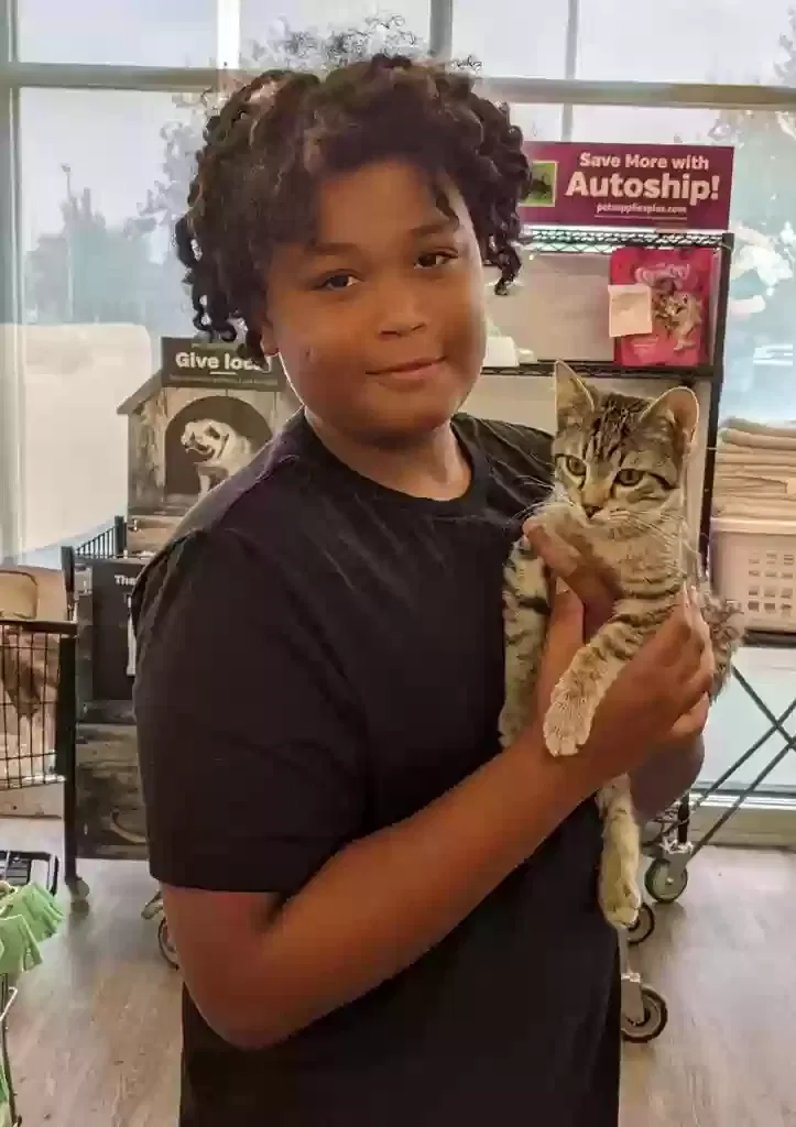 Lost cat in Reynoldsburg, OH, 43068