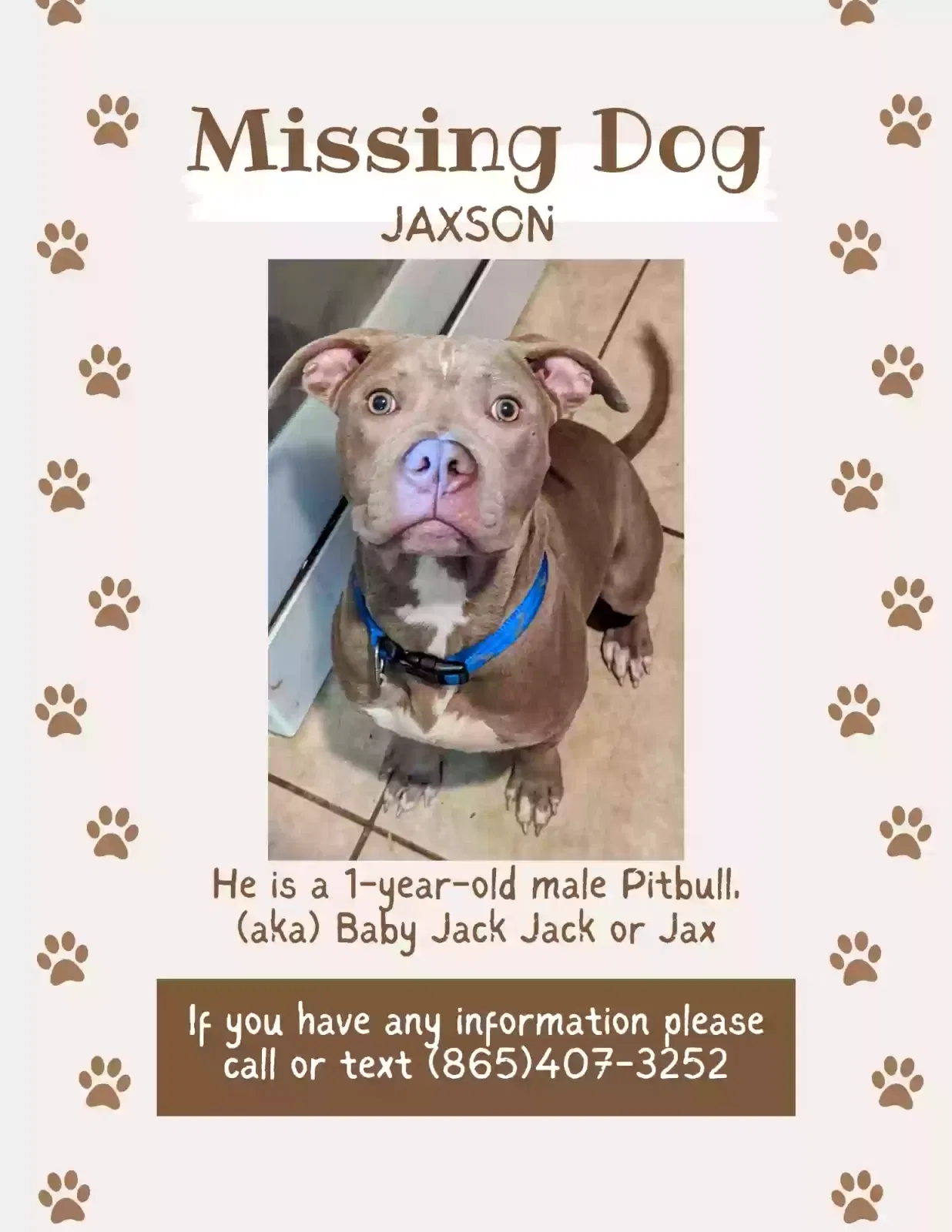 Lost dog in Knoxville, TN, 37920