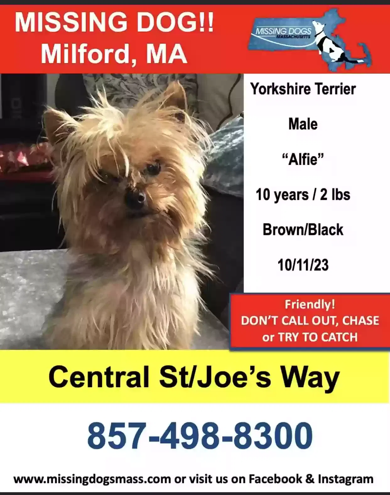 Lost dog in Milford, MA, 1757