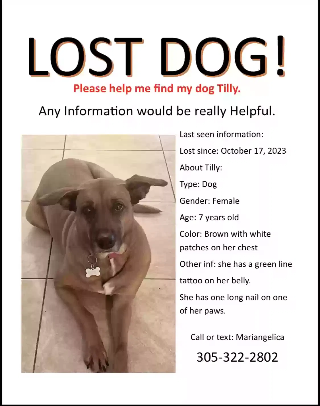 Lost dog in Hialeah, FL, 33015