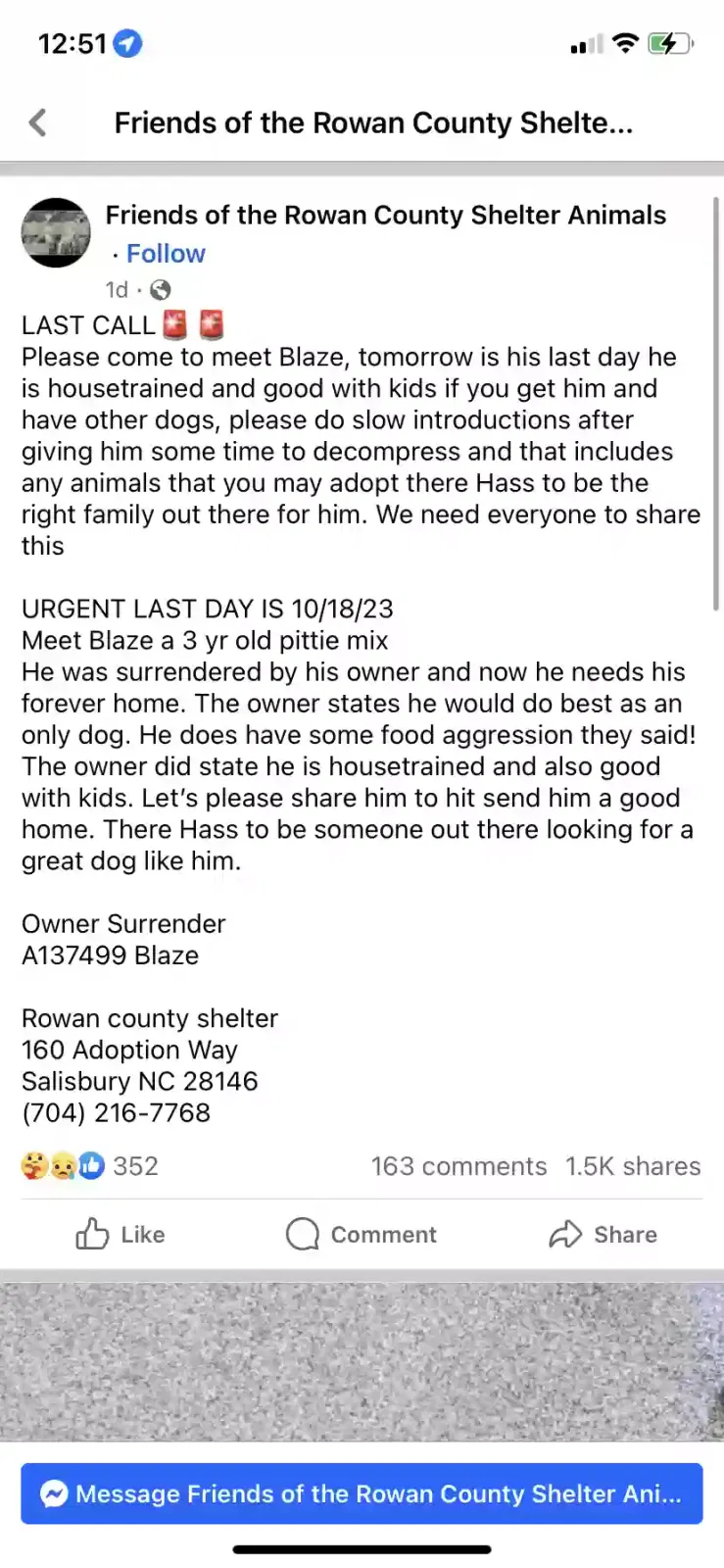 Found dog in Salisbury, NC, 28146