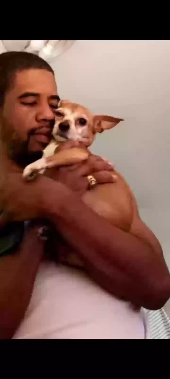 Lost dog in Federal Way, WA, 98003
