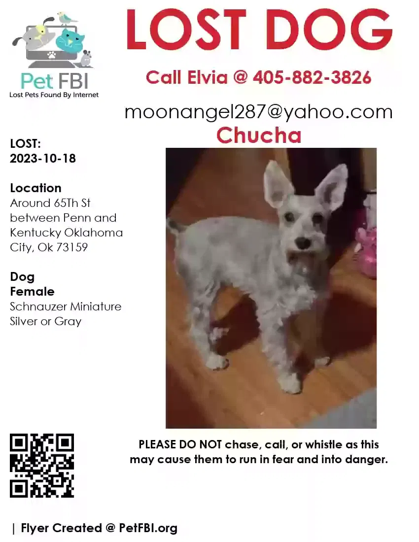 Lost dog in Oklahoma City, OK, 73159