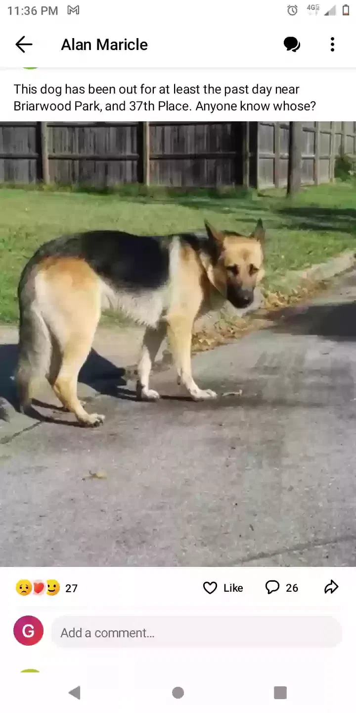 Lost dog in Tulsa, OK, 74115