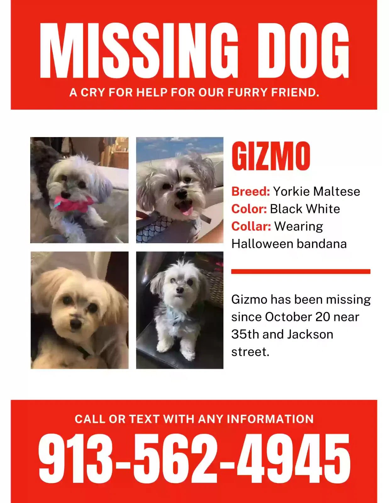 Lost dog in Kansas City, MO, 64128