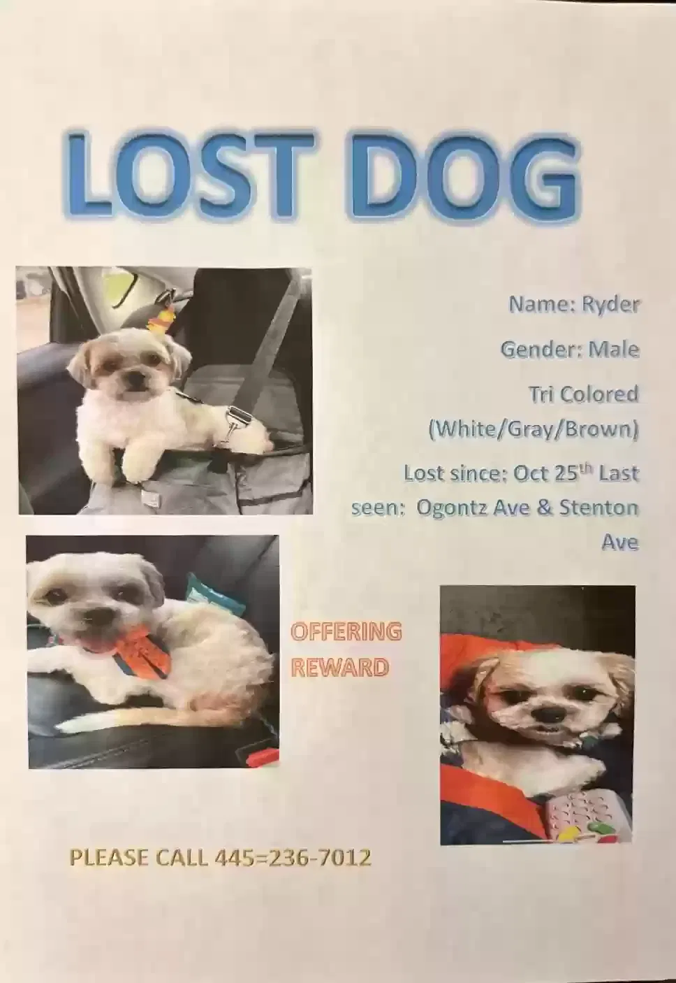Lost dog in Philadelphia, PA, 19126