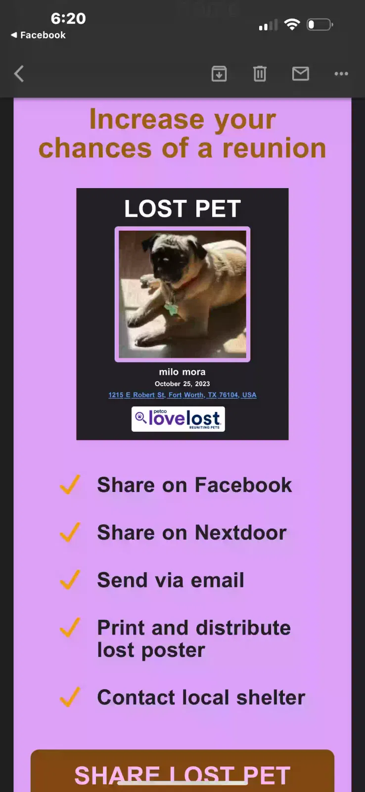 Lost dog in Fort Worth, TX, 76104