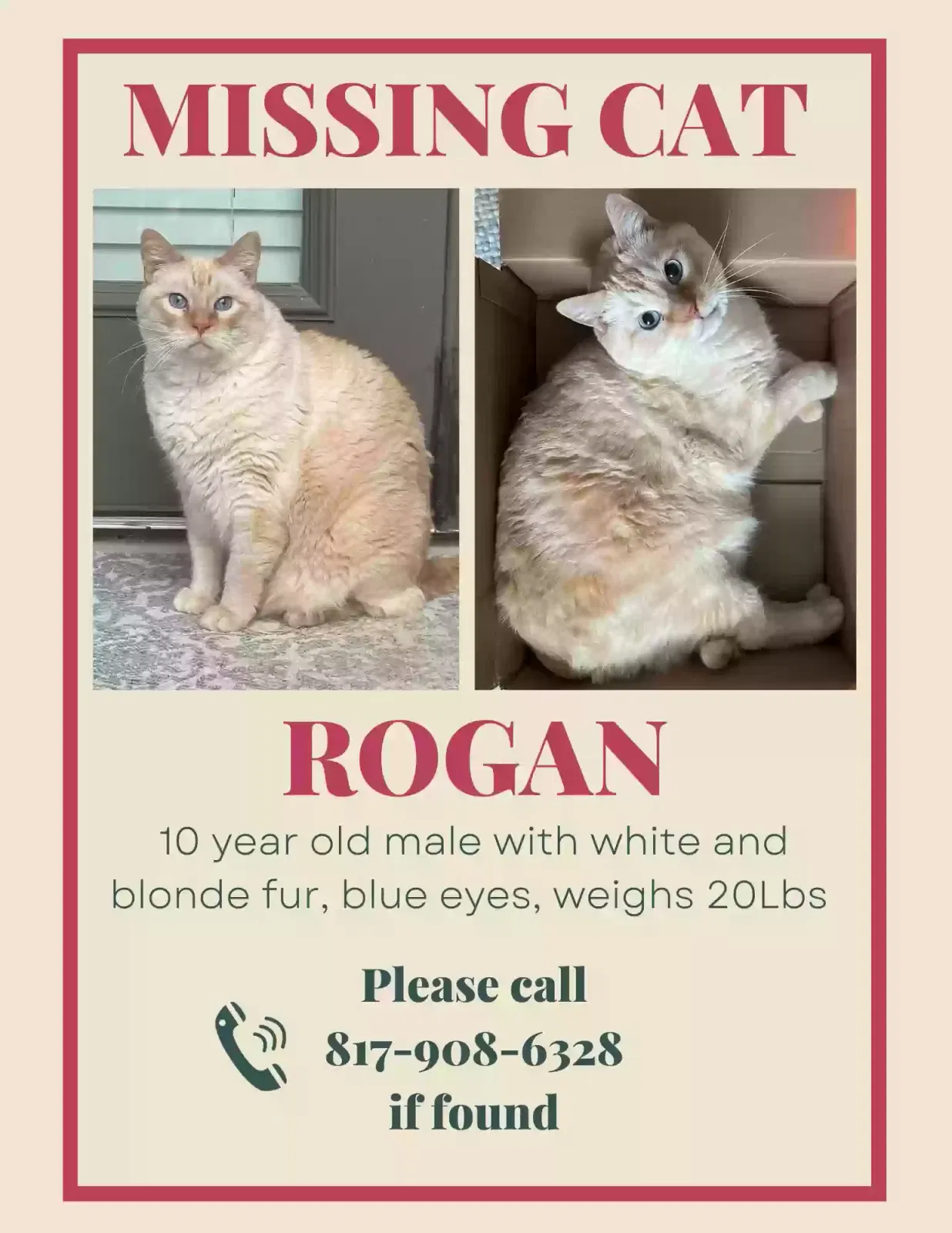 Lost cat in Fort Worth, TX, 76177
