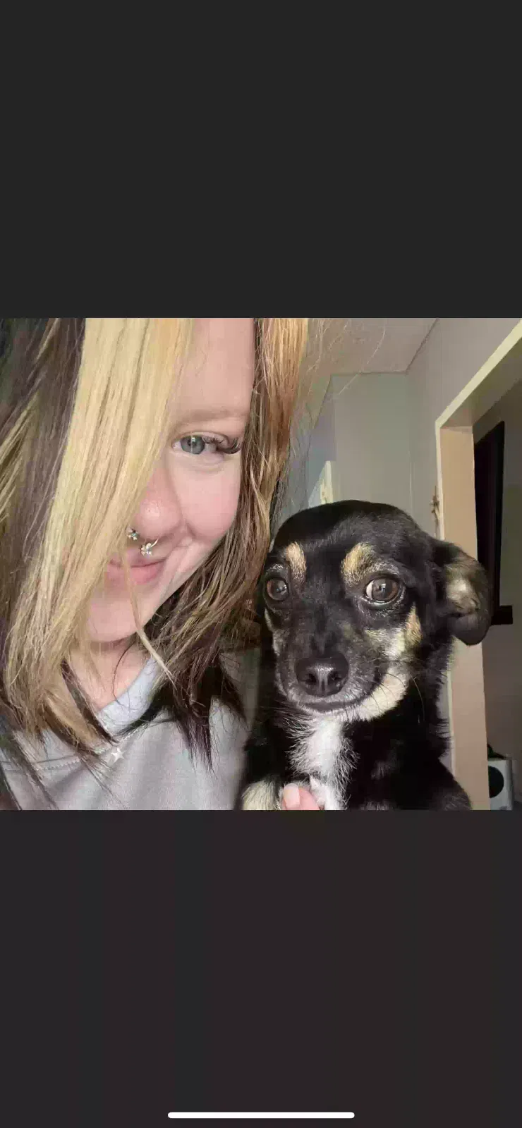 Lost dog in Hayward, CA, 94544