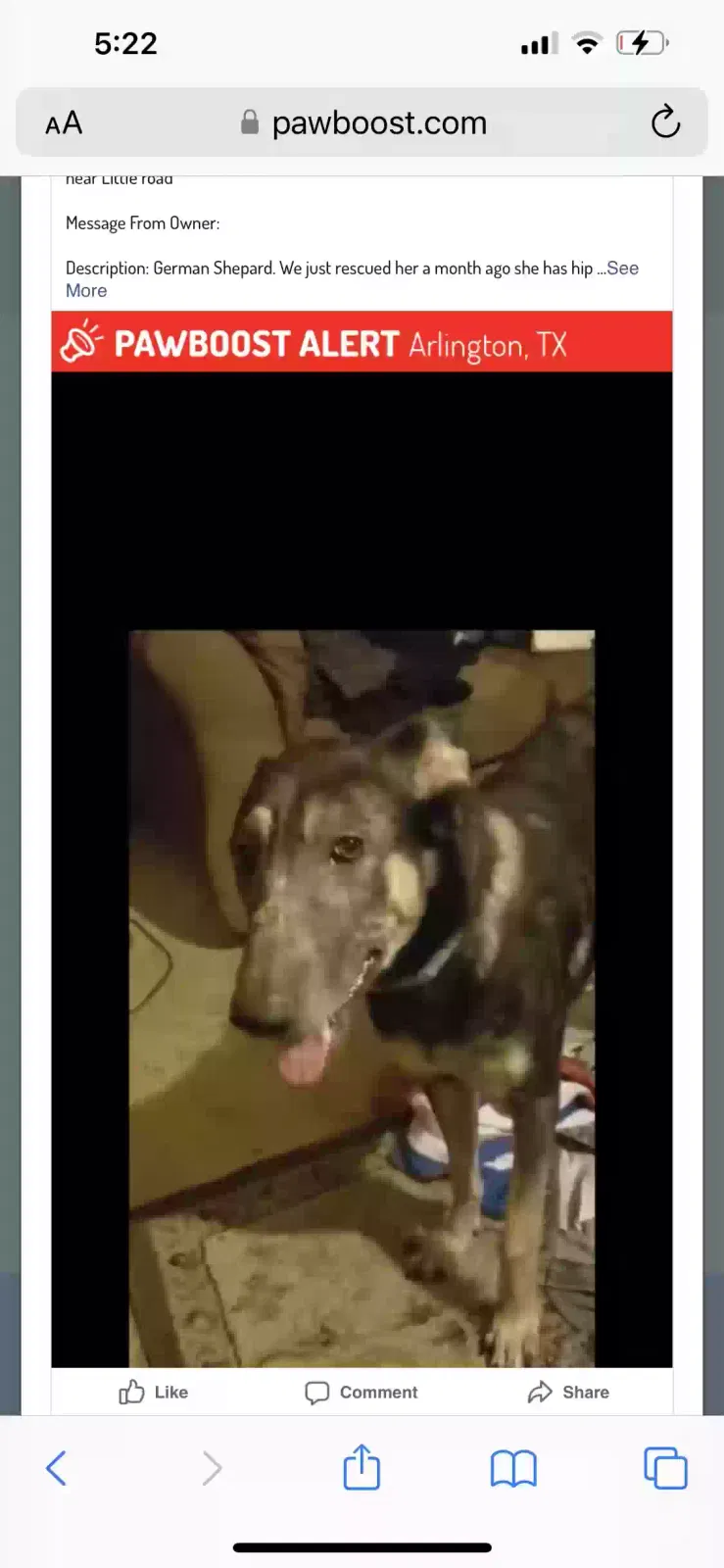 Lost dog in Arlington, TX, 76016