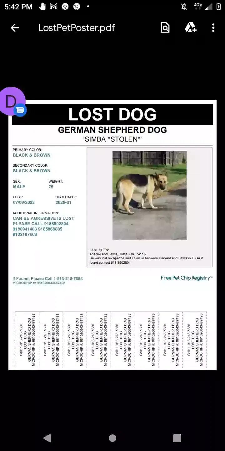 Lost dog in Tulsa, OK, 74115
