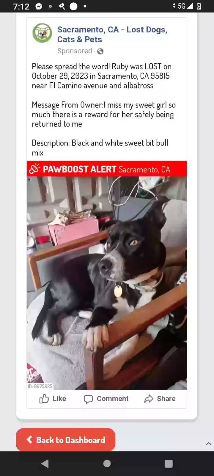 Lost dog in Sacramento, CA, 95815