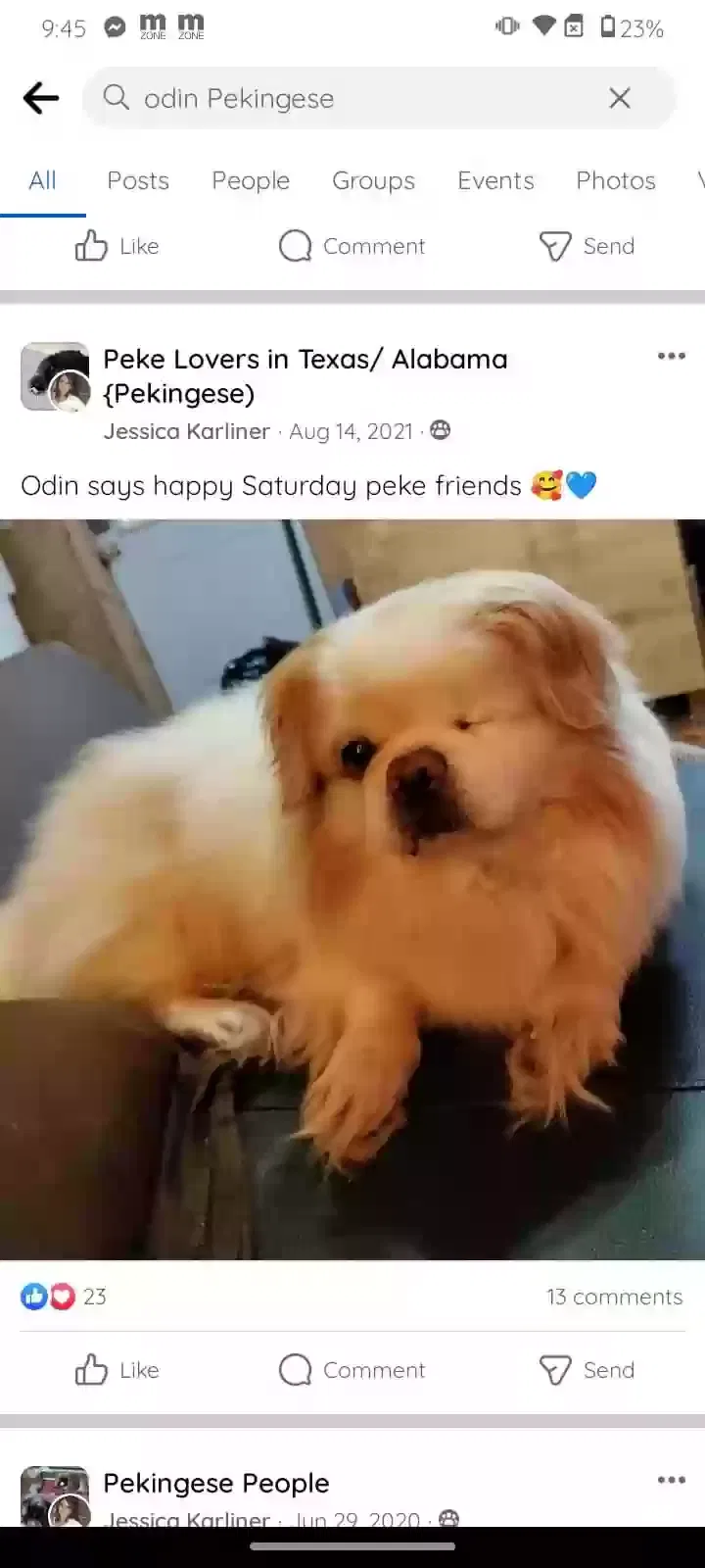 Lost dog in Waxahachie, TX, 75165