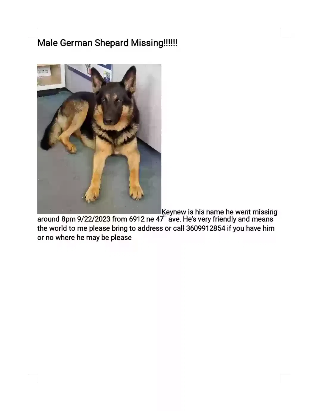 Lost dog in Vancouver, WA, 98661