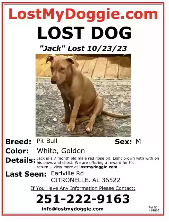 Lost dog in Citronelle, AL, 36522
