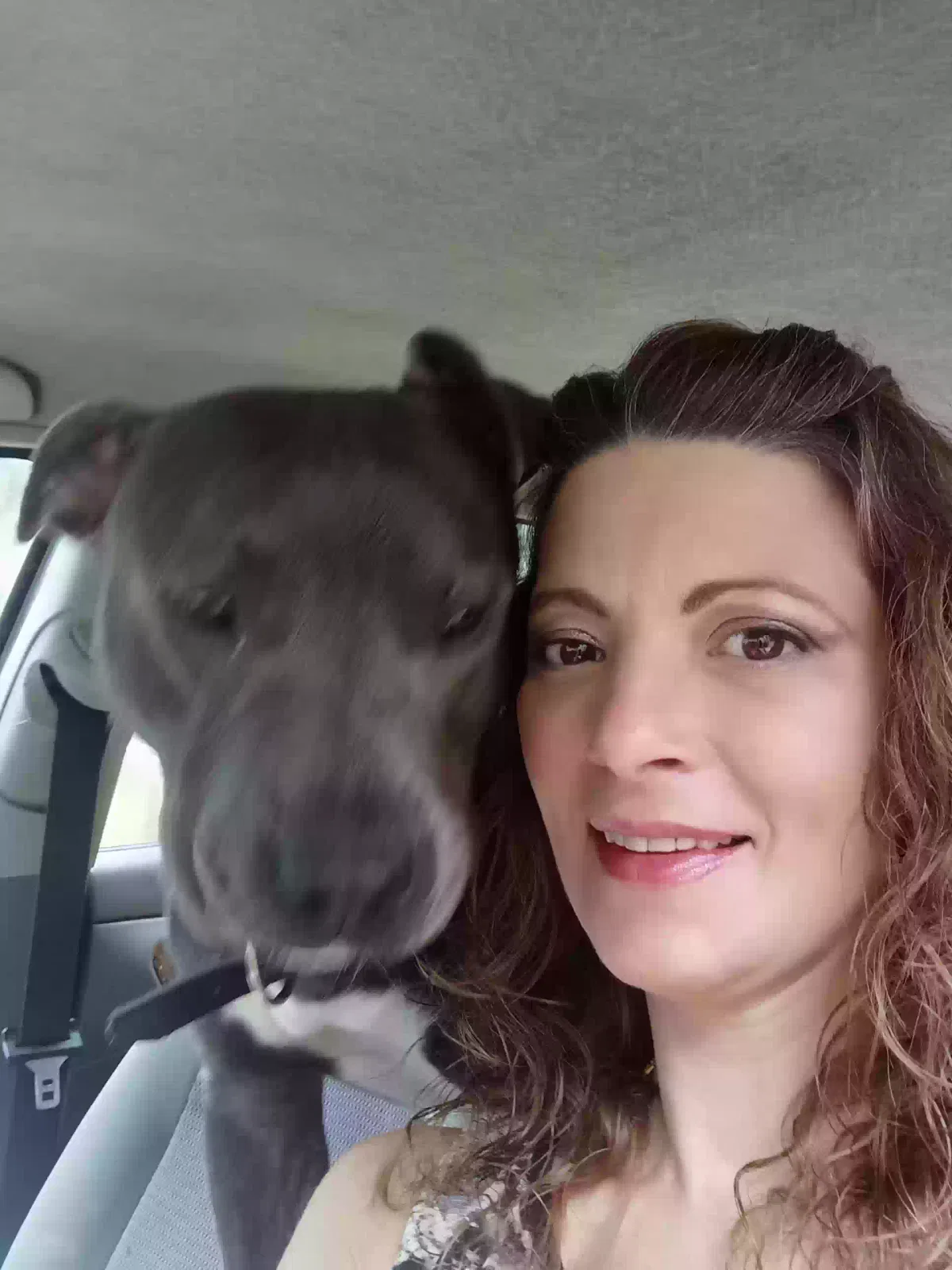 Lost dog in Ashford, AL, 36312
