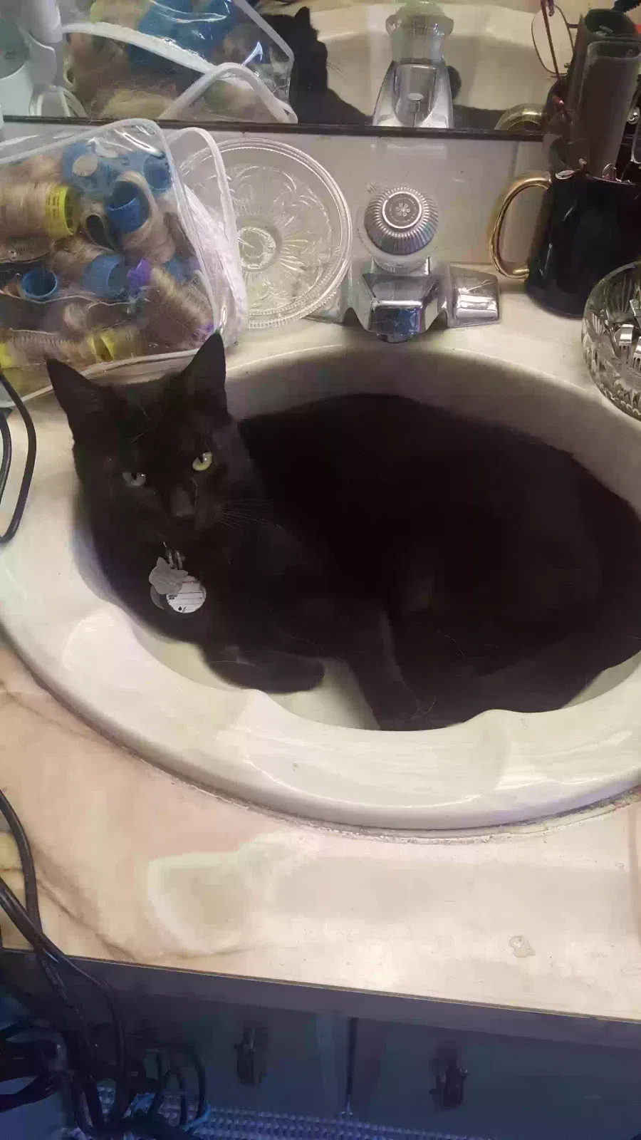 Lost cat in Claremore, OK, 74017