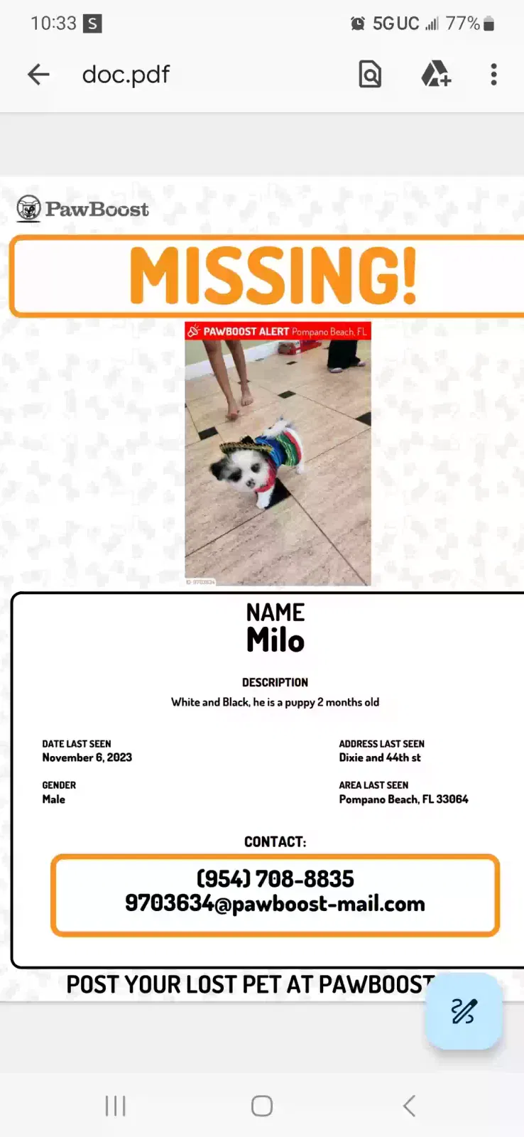 Found dog in Pompano Beach, FL, 33064