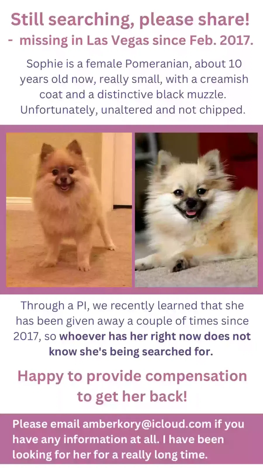 Lost dog in Las Vegas, NV, 89123