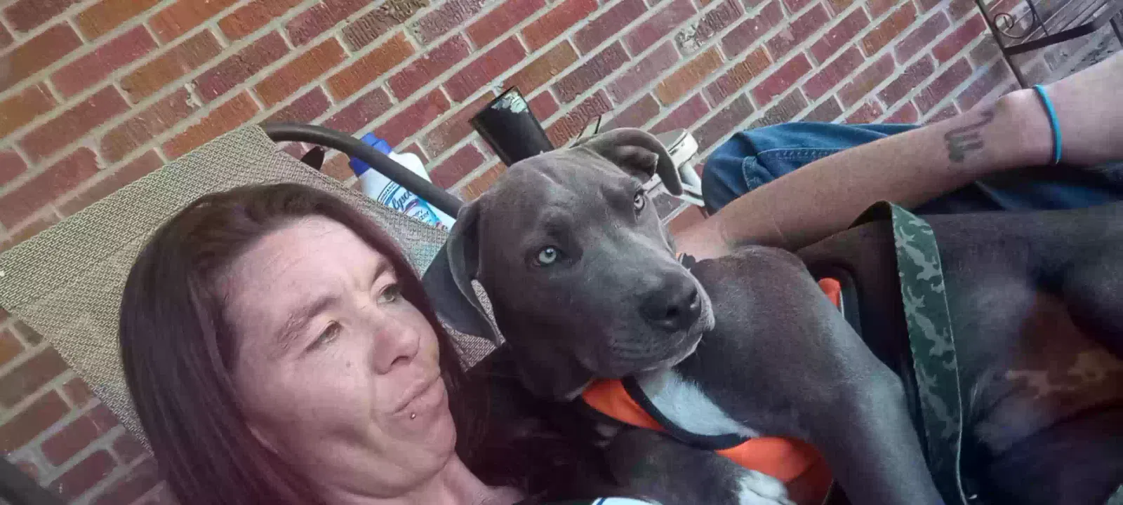 Lost dog in Mendenhall, MS, 39114