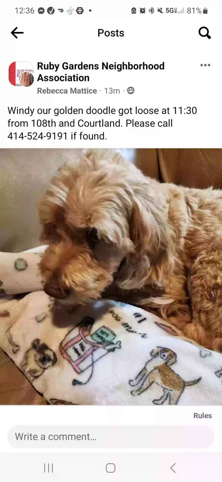 Lost dog in Milwaukee, WI, 53225