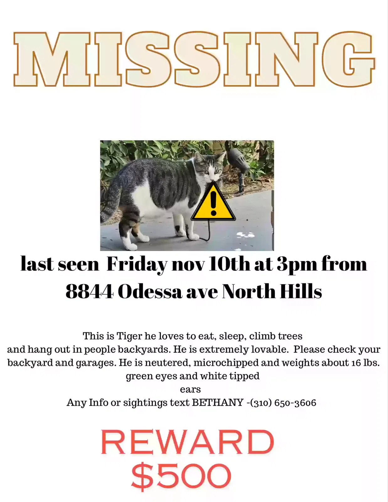 Lost cat in North Hills, CA, 91343