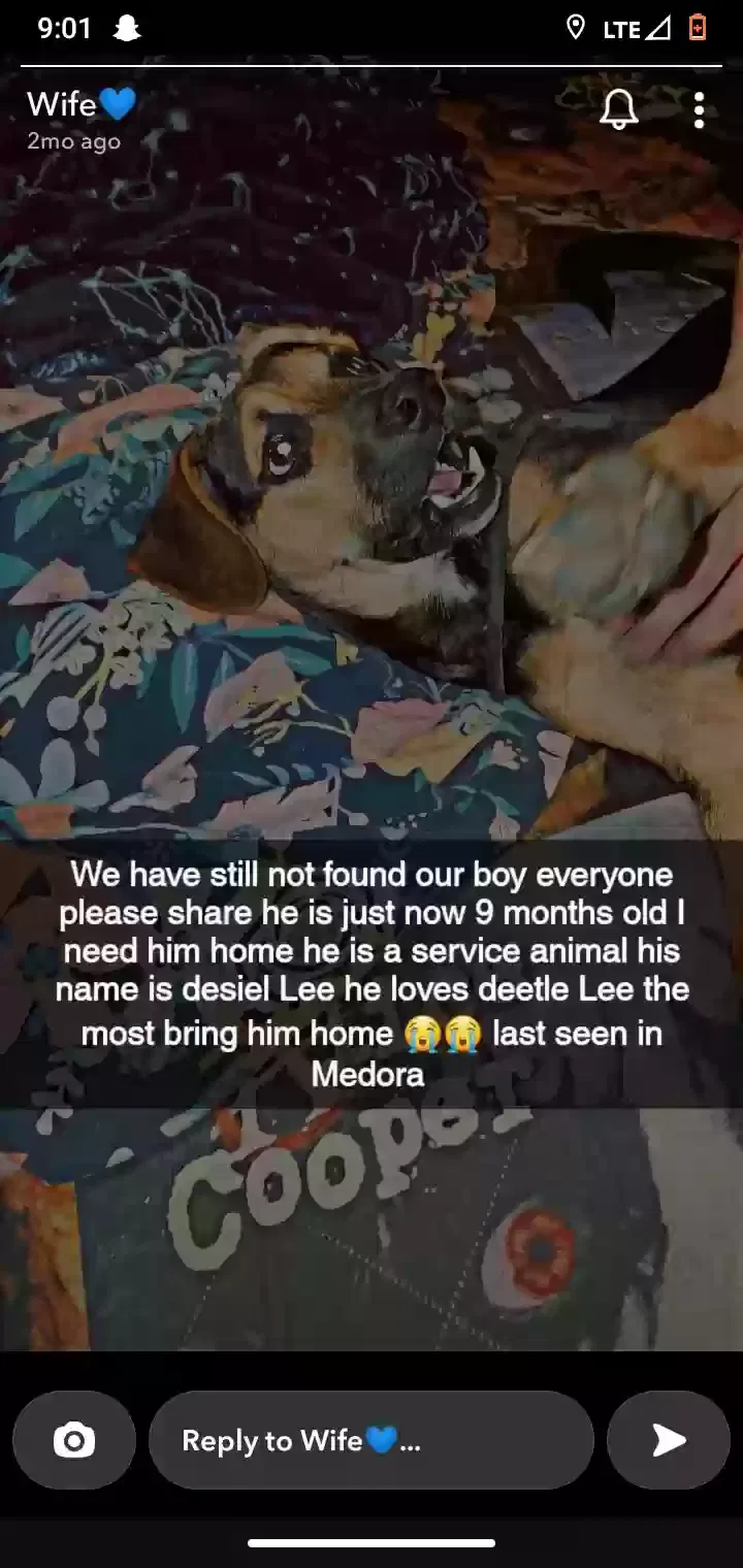 Lost dog in Medora, IN, 47260