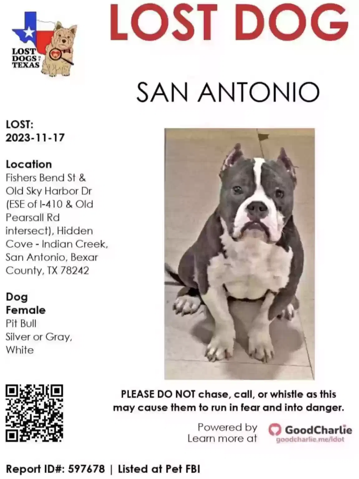 Lost dog in San Antonio, TX, 78242